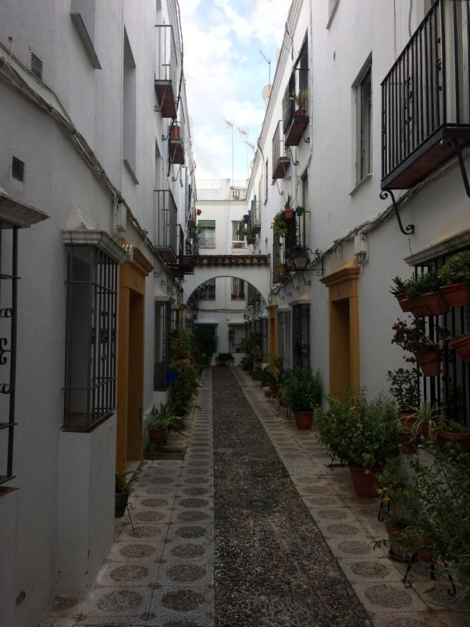 科爾多瓦Lujosa Vivienda En Plena Juderia公寓 外观 照片