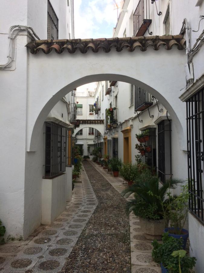 科爾多瓦Lujosa Vivienda En Plena Juderia公寓 外观 照片